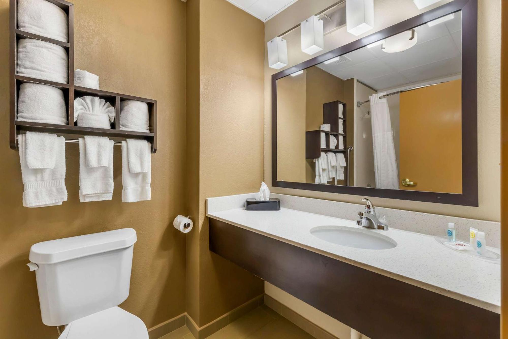Hotel Comfort Regency Park Cary