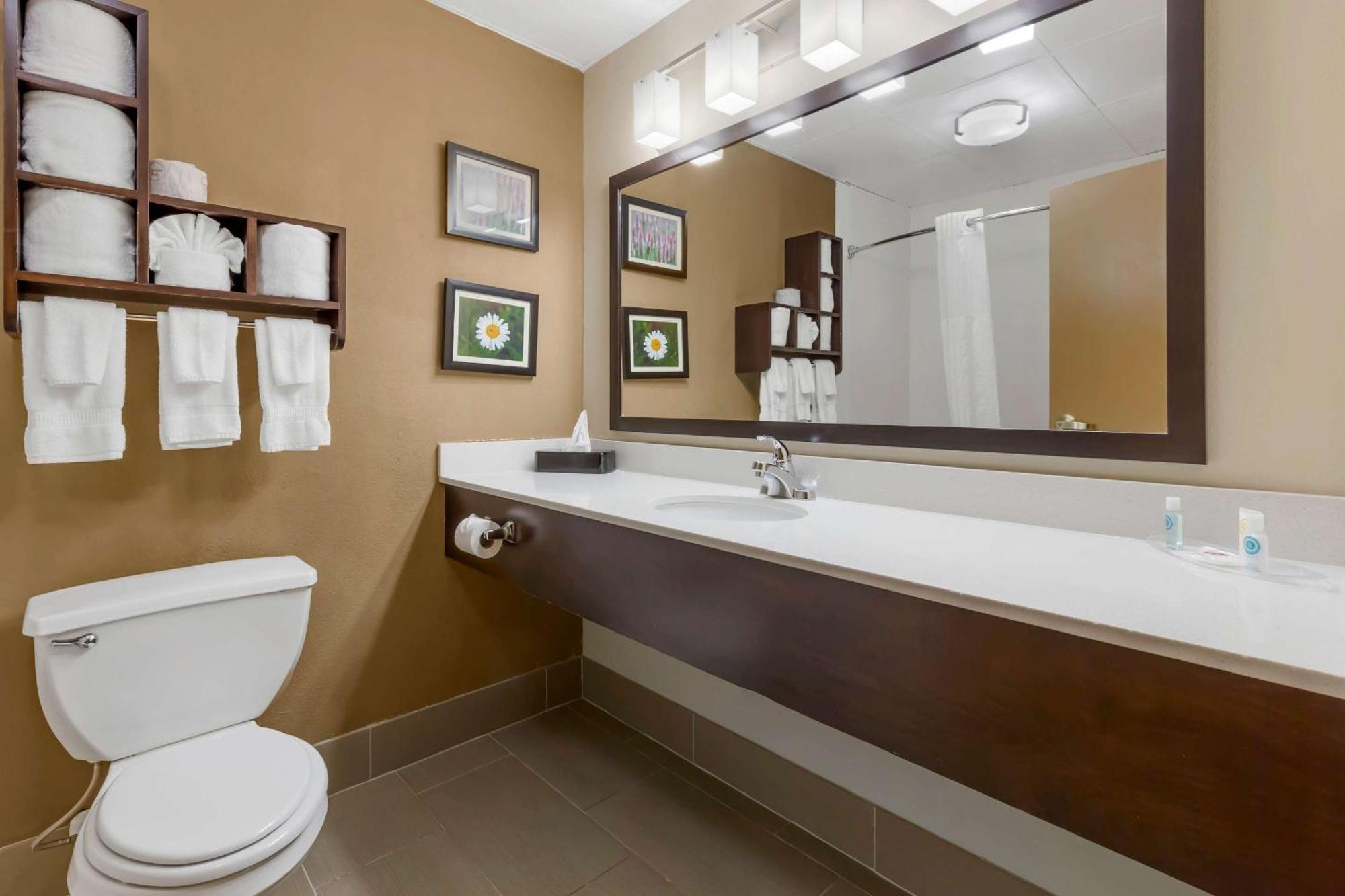 Comfort Regency Park Hotel